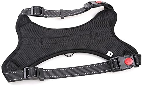 5ft Dog Lead and Harness Set β Durable, Comfortable, No-Pull Design for Dogs of All Sizes
