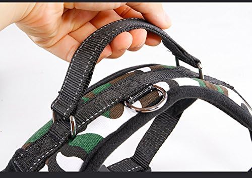 5ft Dog Lead and Harness Set β Durable, Comfortable, No-Pull Design for Dogs of All Sizes