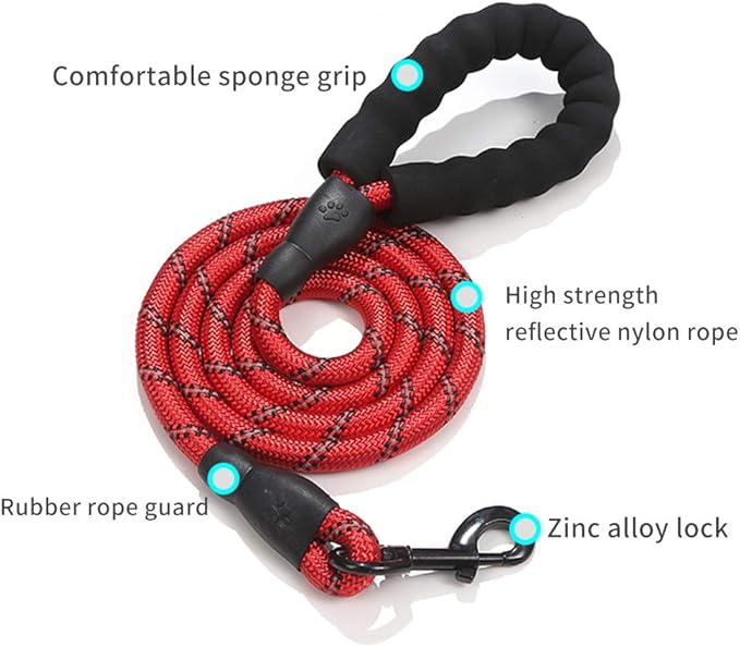 5ft Dog Lead and Harness Set β Durable, Comfortable, No-Pull Design for Dogs of All Sizes