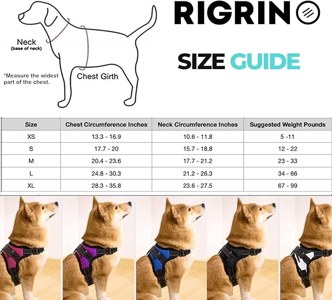 5ft Dog Lead and Harness Set β Durable, Comfortable, No-Pull Design for Dogs of All Sizes