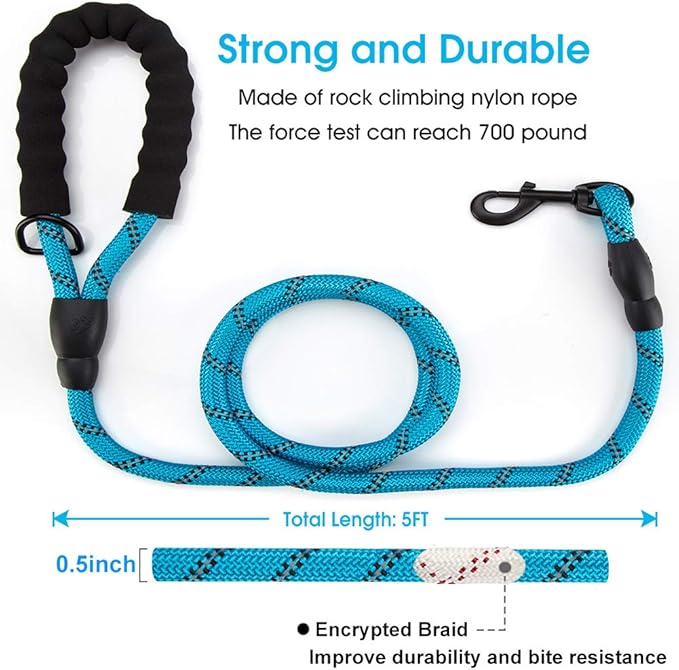 5ft Dog Lead and Harness Set β Durable, Comfortable, No-Pull Design for Dogs of All Sizes