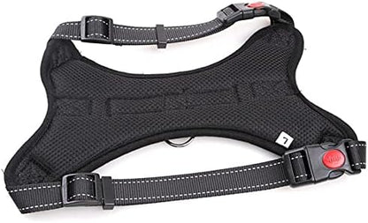 5ft Dog Lead and Harness Set – Durable, Comfortable, No-Pull Design for Dogs of All Sizes