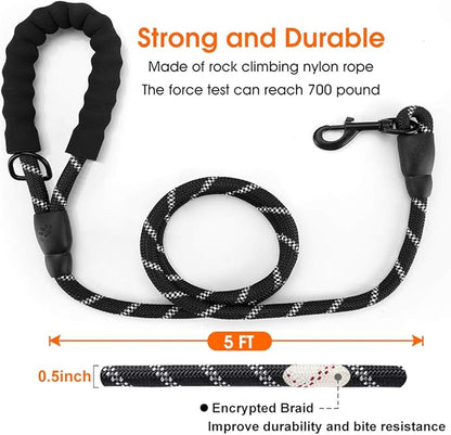 5ft Dog Lead and Harness Set – Durable, Comfortable, No-Pull Design for Dogs of All Sizes