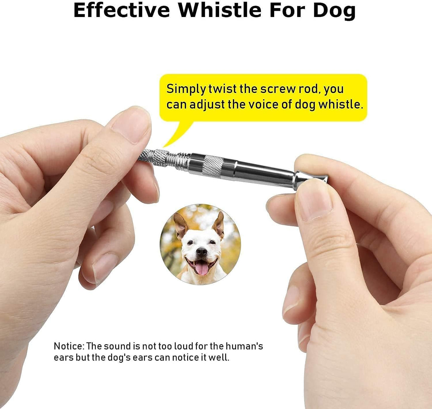 Dog Training Whistle Dog training