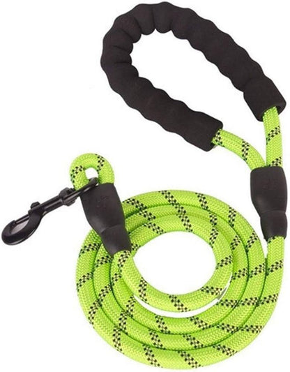 5ft Dog Lead and Harness Set – Durable, Comfortable, No-Pull Design for Dogs of All Sizes