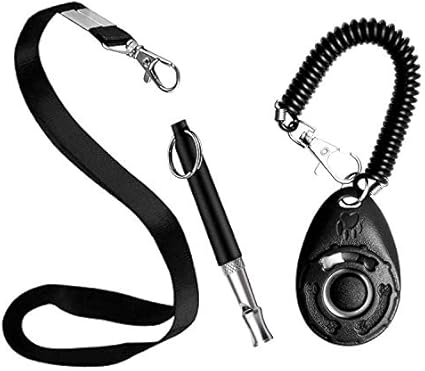 RIGRIN Dog Training Whistle with Lanyard (Whistle + Black Clicker)