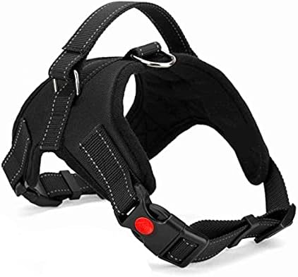 Breathable Mesh Dog Harness – Adjustable, Soft Padded, No-Pull Pet Vest for Ultimate Comfort